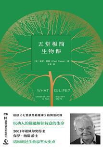 阳历农历生日怎么换算