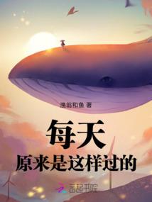 19971104八字