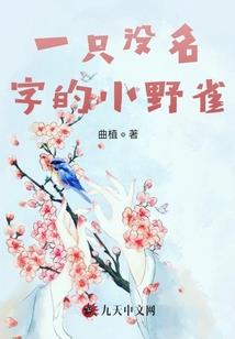 捕梦网灯寓意
