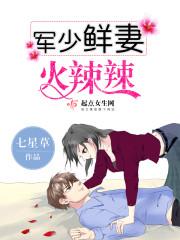 miui农历下载