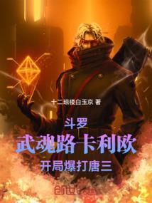 琦含义英文