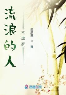 给小德牧母犬起名