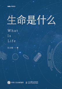 昼伏夜出的生肖