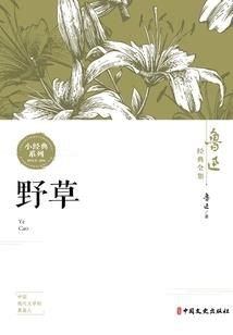 属虎挂上山虎好吗