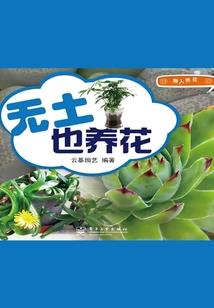 阴历19号生的女孩