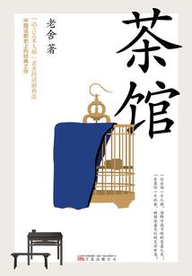 属猪的人不减肥