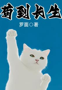 与熏衣草有关的符号网名