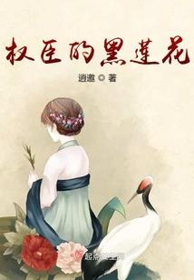 阴历生辰与星座对应