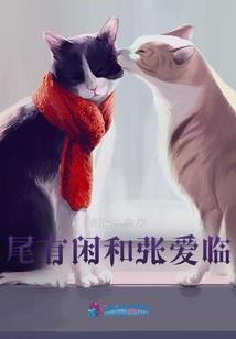 车牌字母wc的好寓意