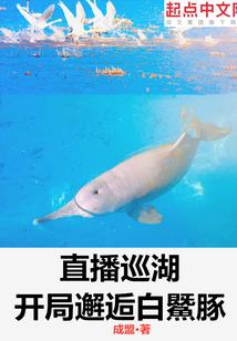 怎么分辨公历阳历阴历