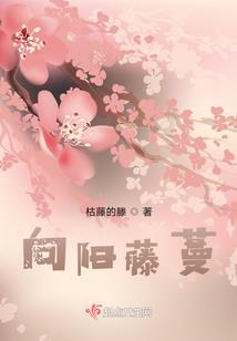 今天阴历凌少