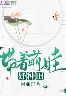 属猴与属免的关系
