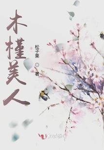 风水一元龙