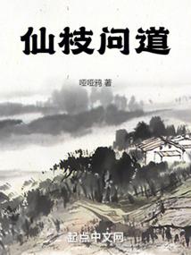 属虎2022年流年分析