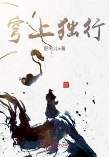 周公解梦好多海龟