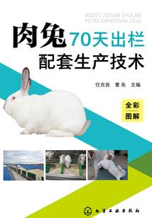 2013的属相