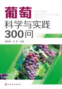 年轻守寡命运