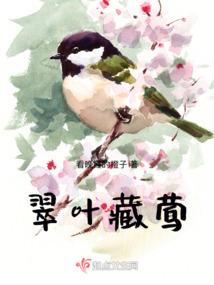 6月属猪的人好运