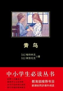 属猪的喜好颜色