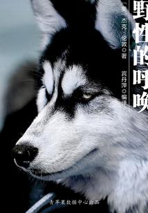 年轮剧本命运石