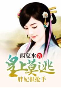 数字财运吉凶测试