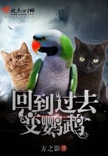 属狗12月25号阳历