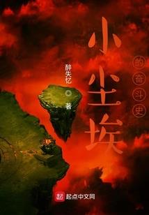 川金丝猴属于什么属