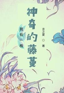 黄历2019祈福日子