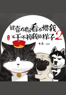周公解梦书评