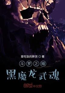 珠峰八字阀价格