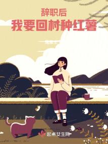 网名小说女二