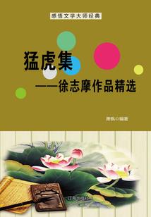 物质的八字