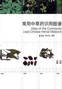 属虎买楼买几层好