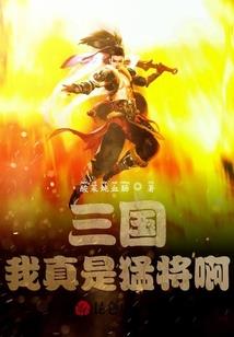 顶级风水师小说结局