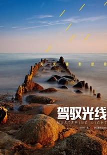 属鼠能不能跟属马合作