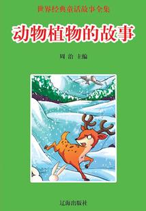 男人阴茎屁股男人