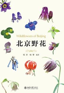 男友挡财运完结