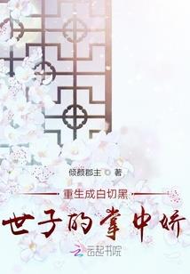 司机的生肖