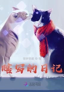 农历还是农历还有