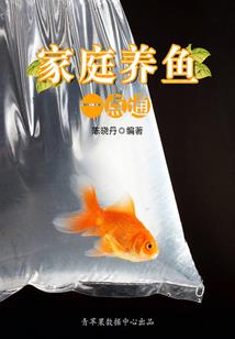 缁布冠寓意