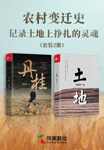 今年阳历多少个月