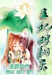 美第奇的含义