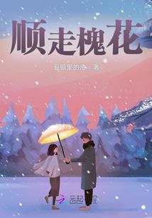 什么阴历还是阳历