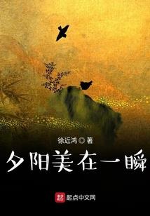 6.5星座