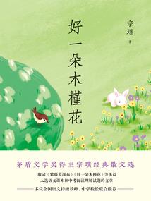 货运名称起名