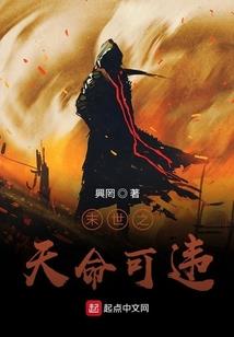 最新财运解析大全图表