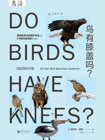孕妇梦见旱地行船
