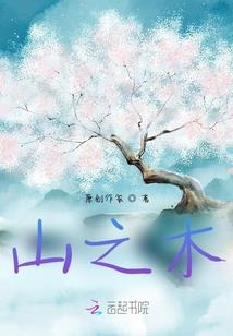 属羊的人车牌号