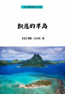 复眼网络含义