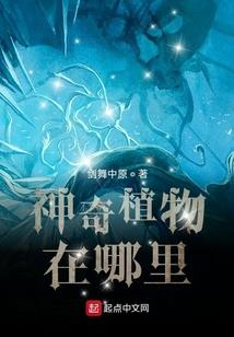 属马1990虚岁多少